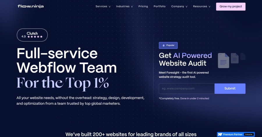Flow Ninja - Neumorphism Website Example Flow Ninja - Neumorphism Website Example