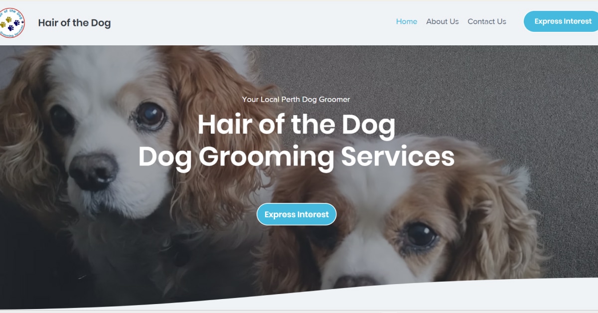 Hair of the Dog - Wix Ecommerce Store Example Hair of the Dog - Wix Website Example