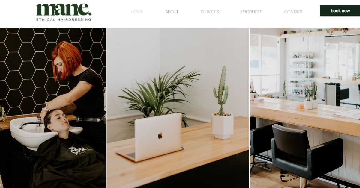 Mane - Wix Ecommerce Store Example Leesha Williams Wix Website Example