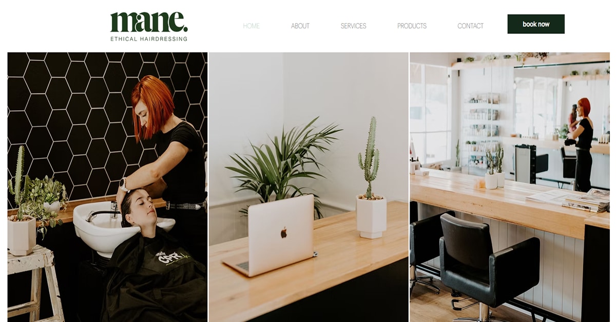 Mane - Wix Website Mane - Wix Website Example