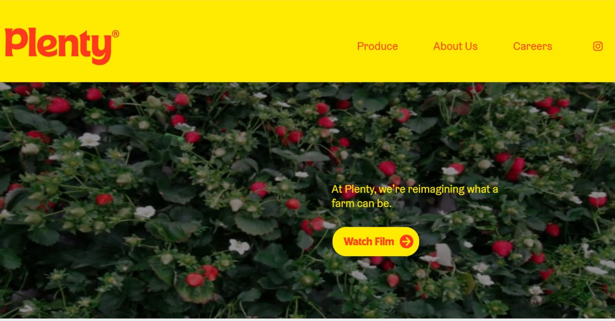 Ira Pavlona - Model Website Examples