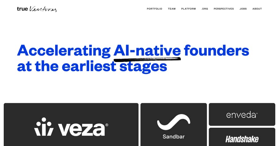 True Ventures - Homepage Design Example