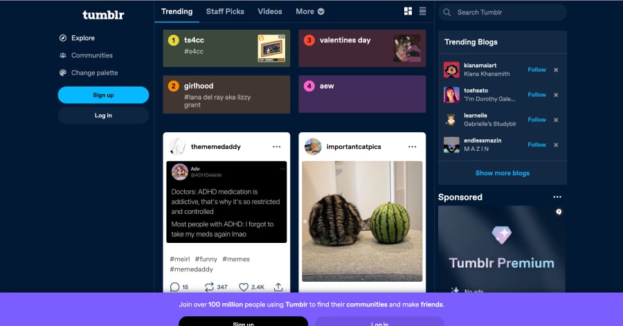 Tumblr - Lead Generation Website Example
