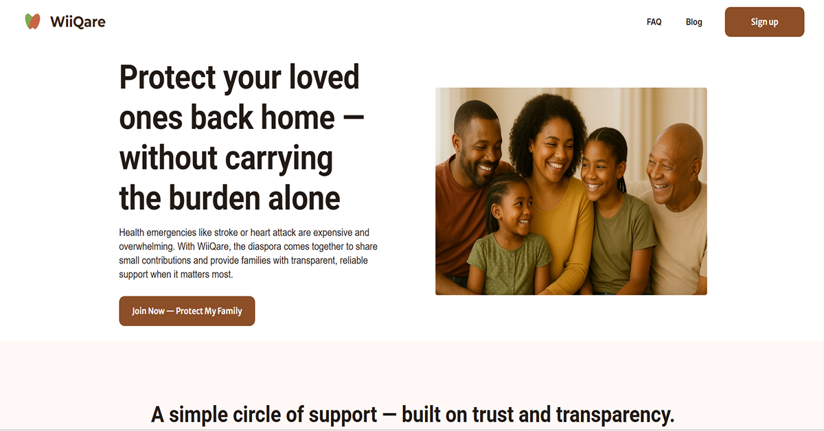 WiiQare - Wordpress Website Best WordPress Websites_WiiQare