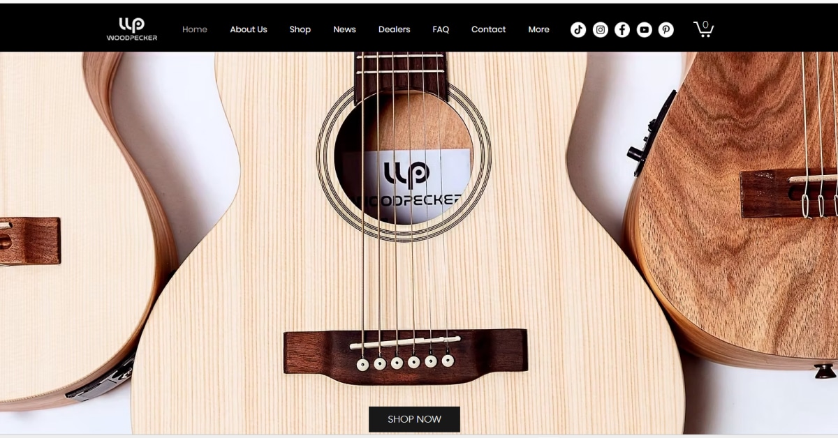Woodpecker - Wix Website Tobias Becs – Wix Website Example