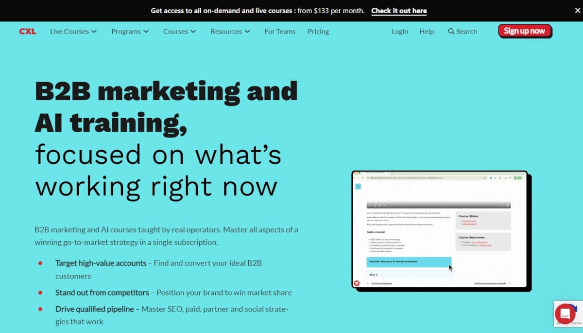 Best Above The Fold Websites_CXL Best Above The Fold Websites_CXL