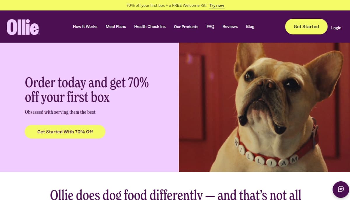 Best Affiliate Websites_Ollie Best Affiliate Websites_Ollie