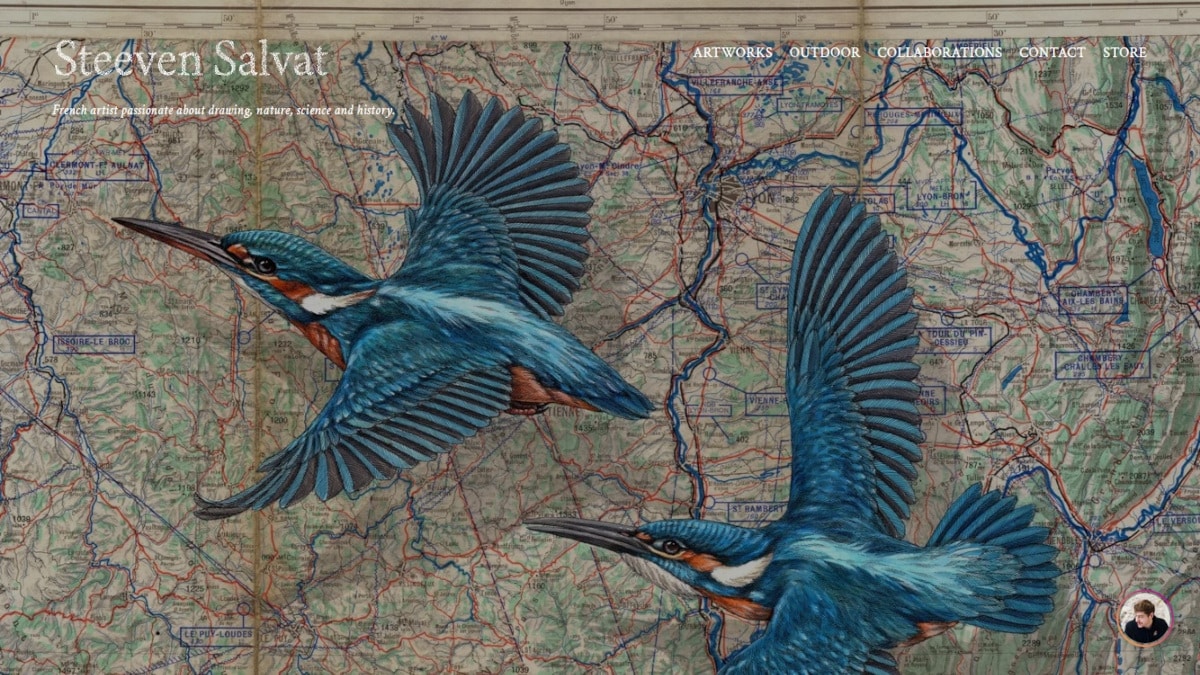 Best Art Portfolios Websites_Steeven Salvat