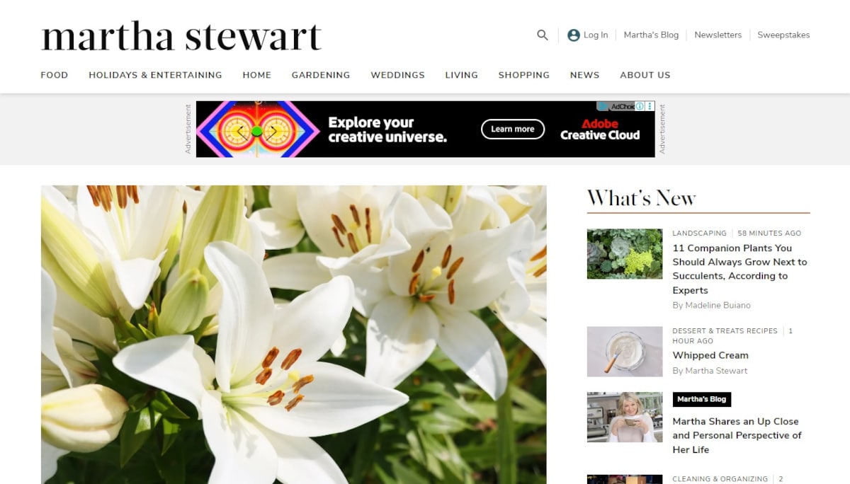 Best Celebrity Websites_Martha Stewart Best Celebrity Websites_Martha Stewart