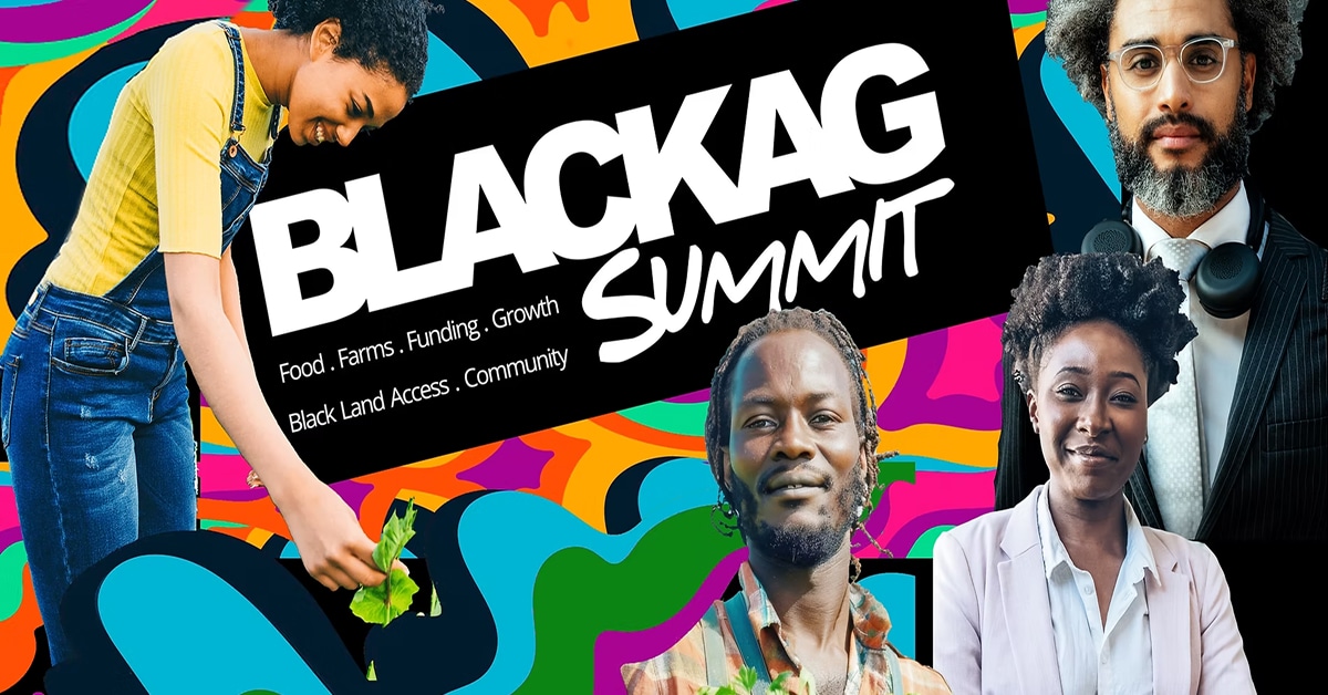Blackag Summit - Conference Website Aiga Conference Website Examples