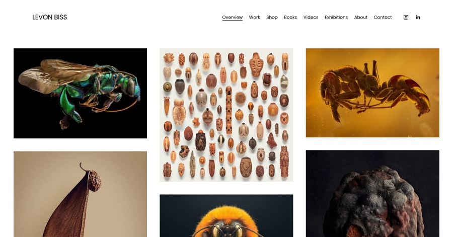 Levon Bliss - Photography Website Examples Levon Bliss - Photography Website Examples