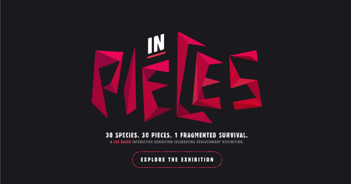 Species in Pieces - Playful Website species in pieces - playful website examples