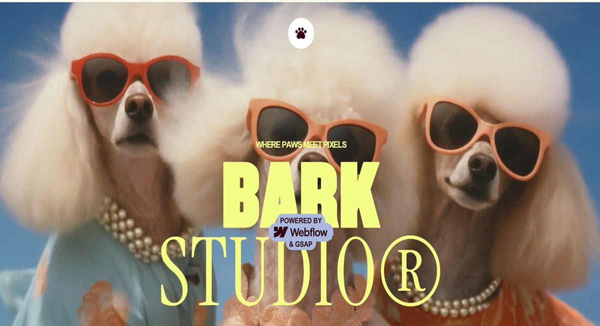 Bark Studio - Webflow Website Conversion Bear Webflow Website Example.png