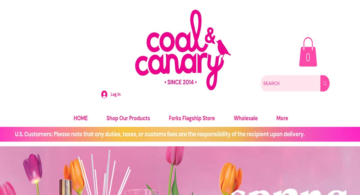 Coal & Canary - Pink Web Design Best Pink Website Examples_Gigareef