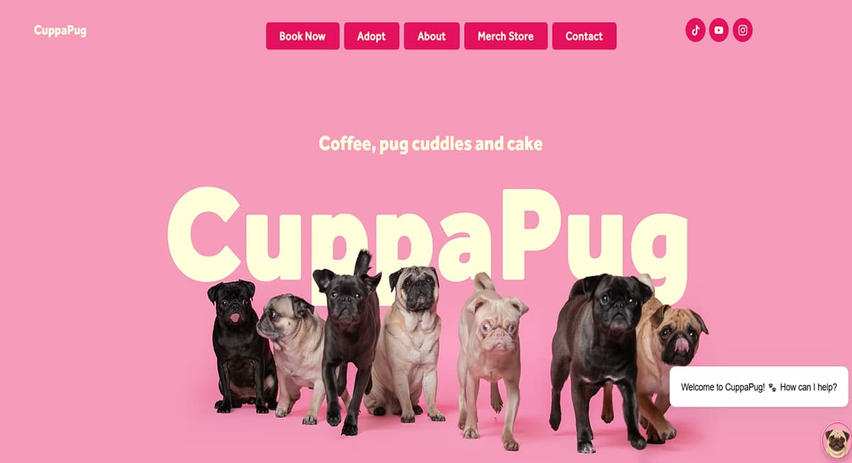 Cuppa Pug - Pink Web Design Best Pink Website Examples_Victorias Secret