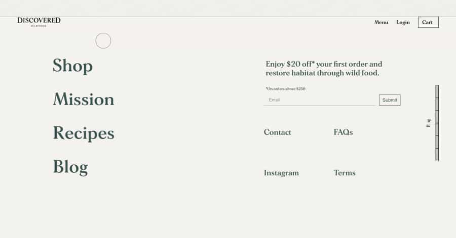 Discovered - Footer Website Design Example