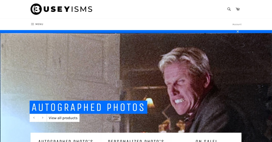 Gary Busey - Influencer Website Examples