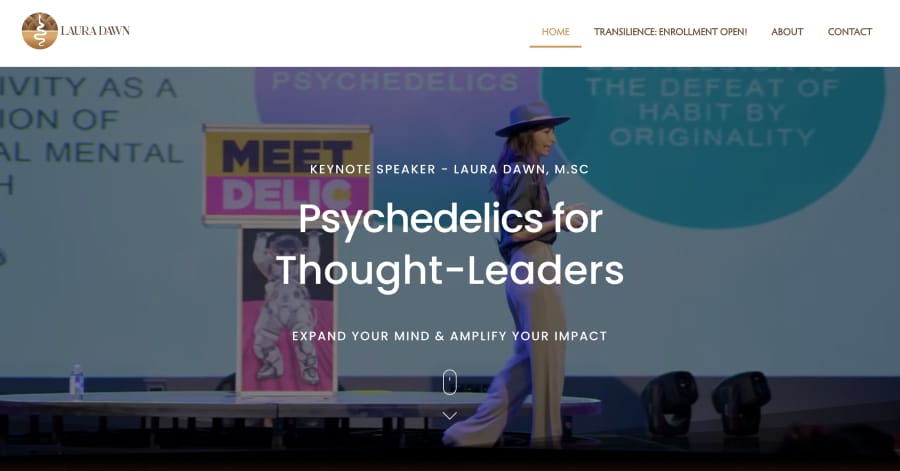 Laura Dawn - Influencer Website Examples