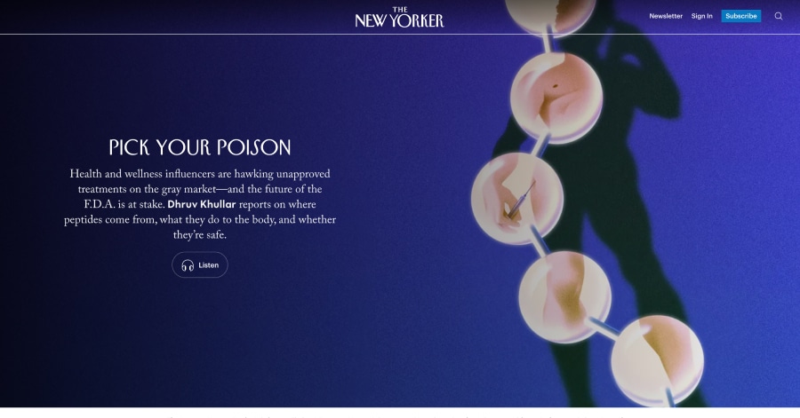 the new yorker - culture website examples