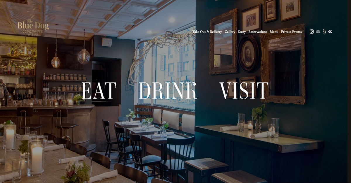 Blue Dog - Squarespace Website