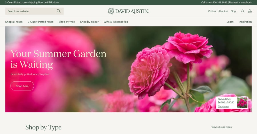 25 Best Home & Garden Websites_DavidAustin