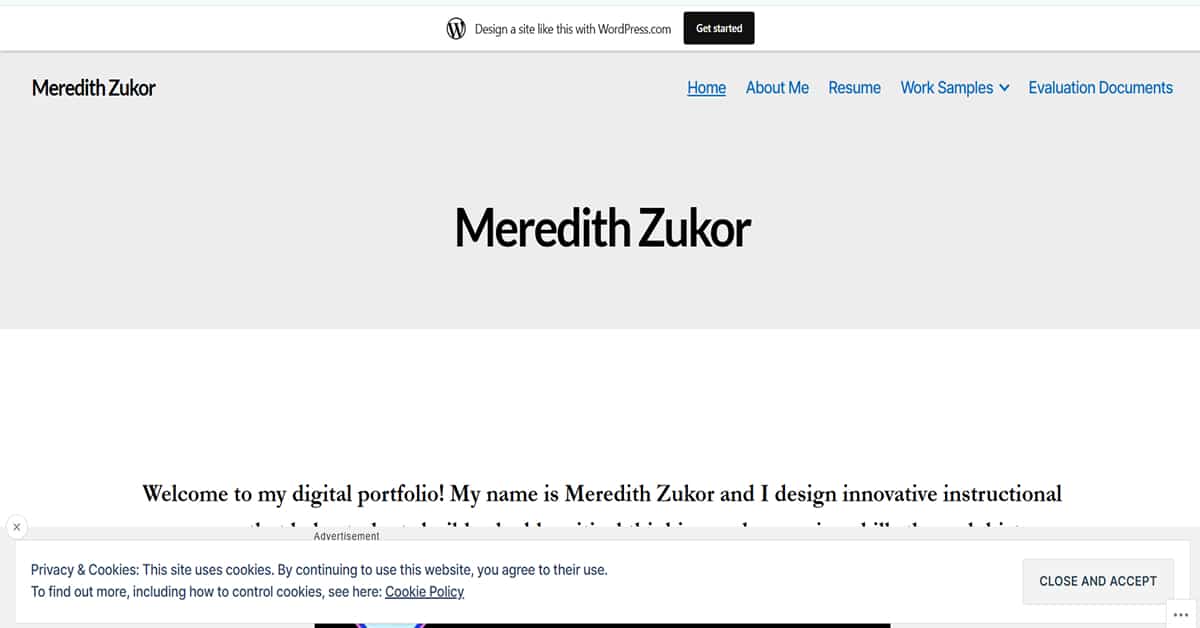 Best Student Portfolio Websites_Meredith Zukor