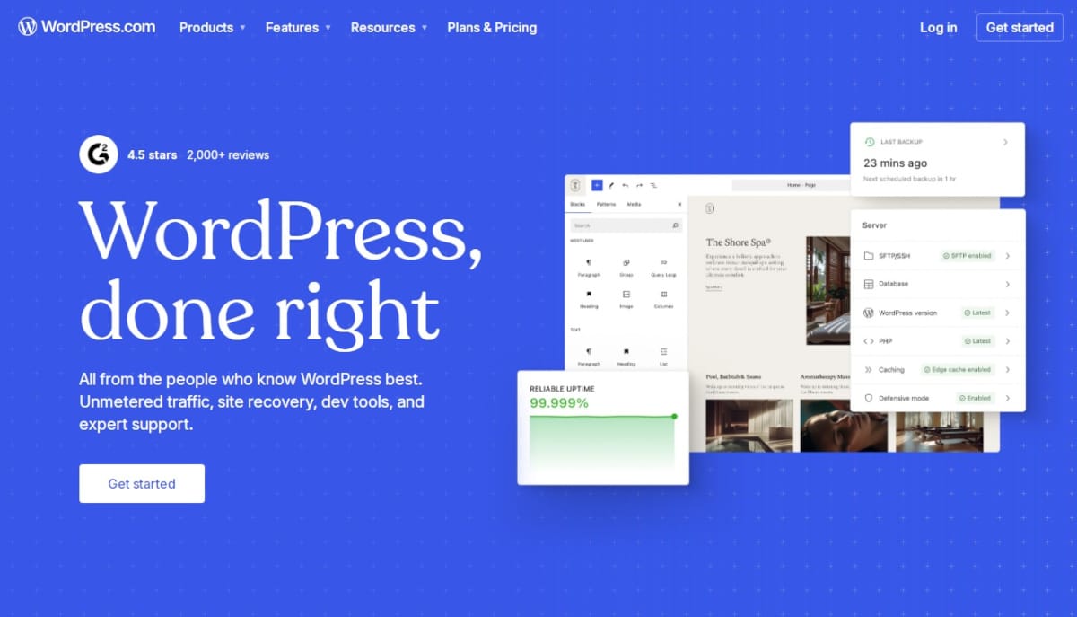 Website Builders Statistics_WordPress