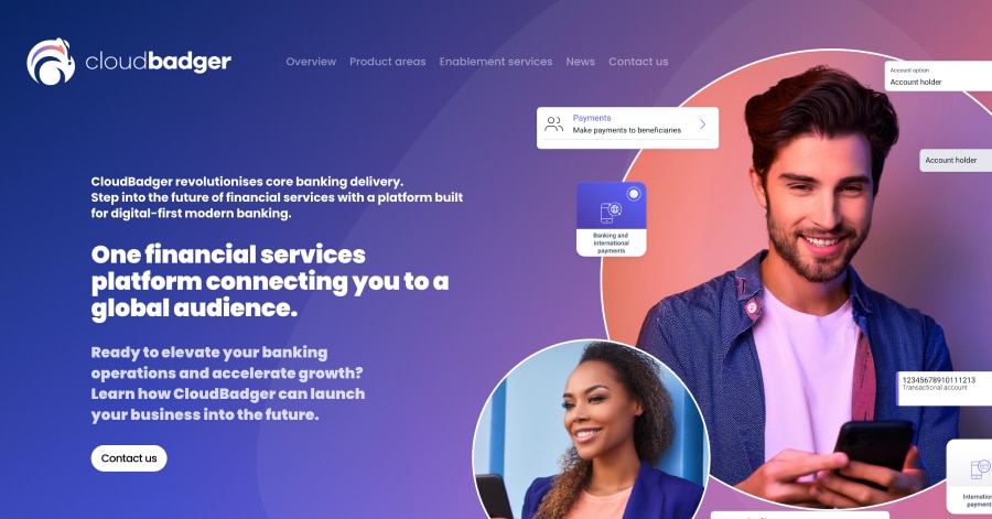 cloudbadger - Financial Website Example