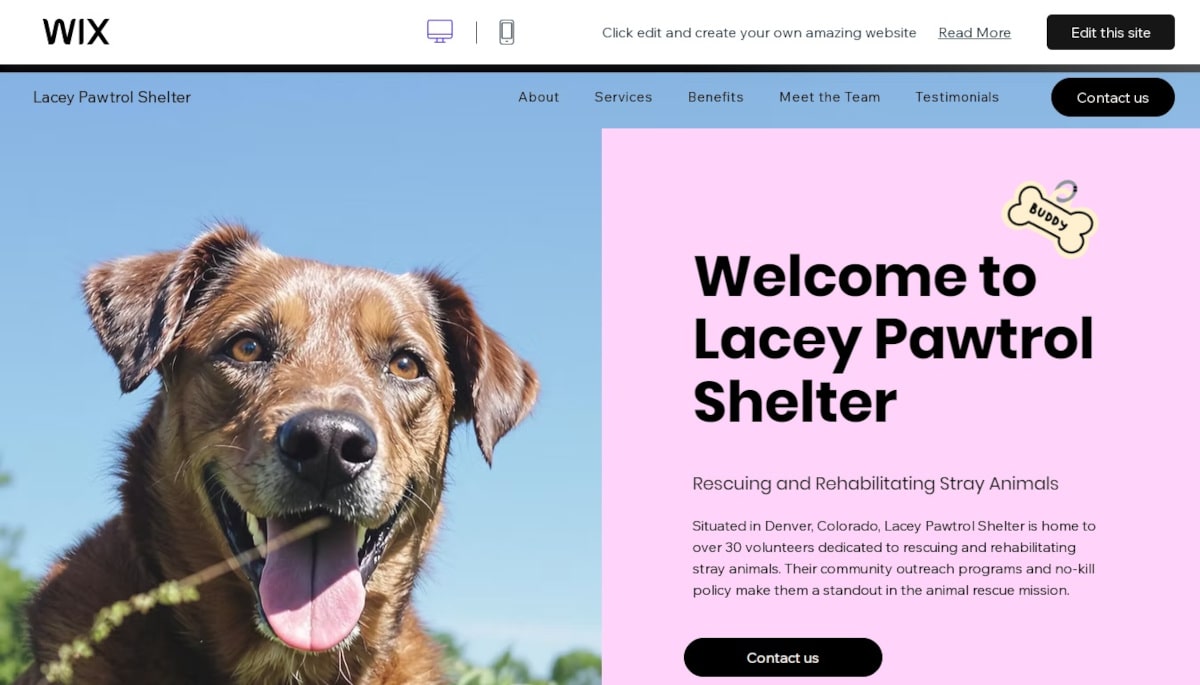 Best Animal Templates_Lacey Pawtrol Center