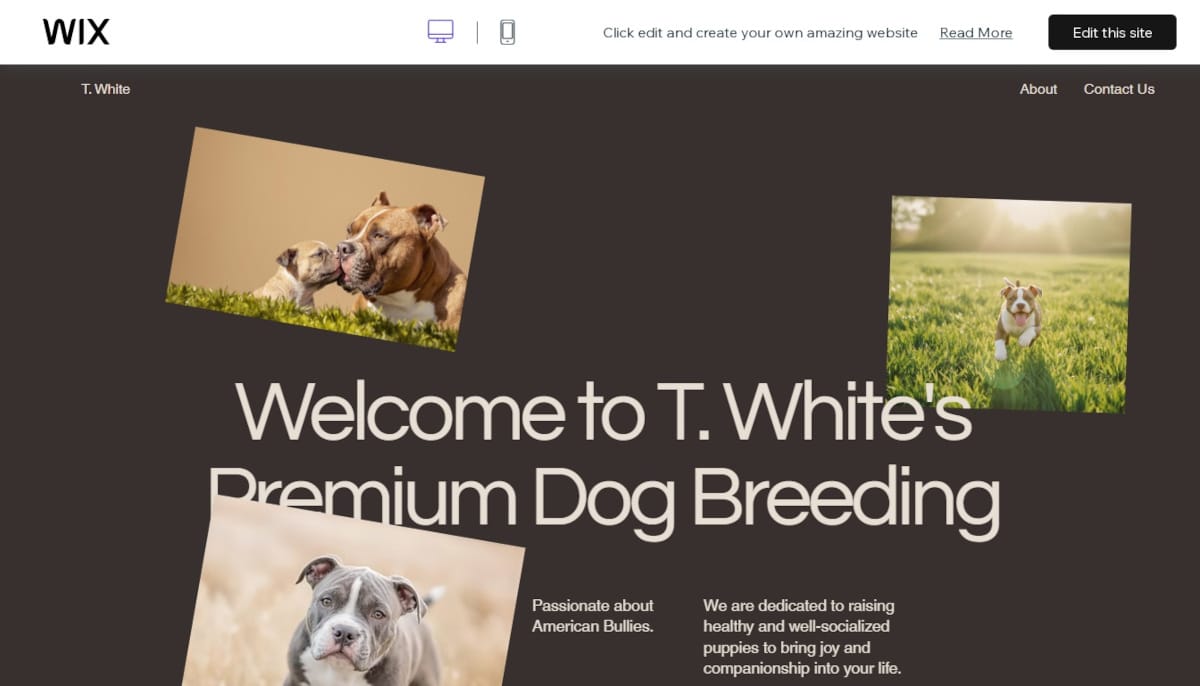 Best Animal Templates_T White
