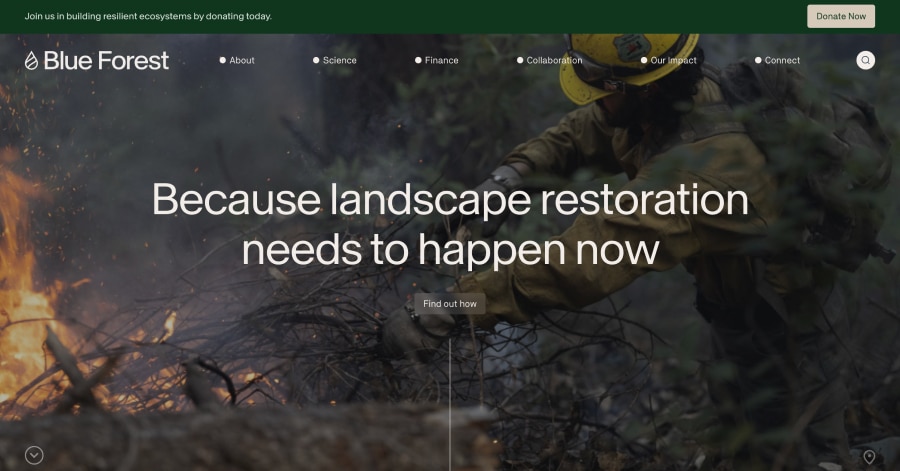 Blue Forest - Nature Conservation Website Examples