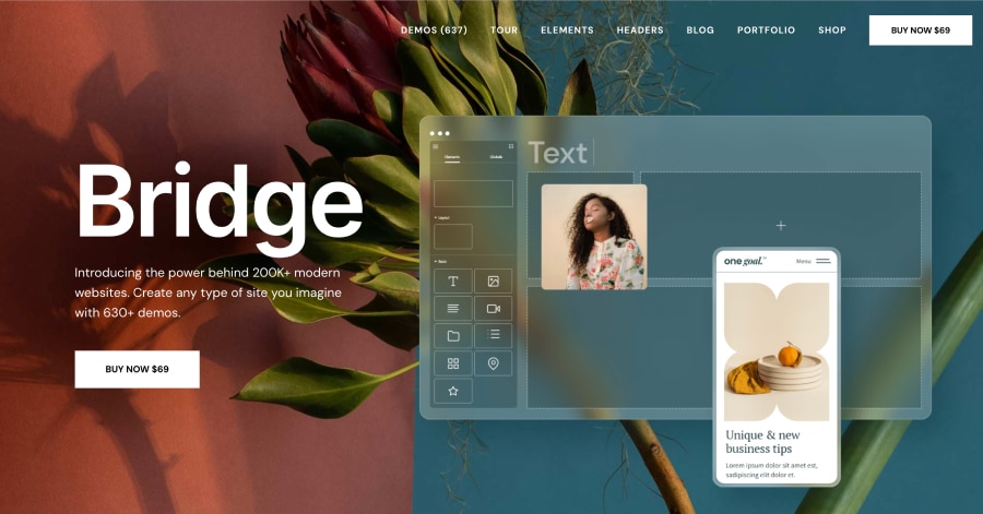 Bridge - Modern Website Example