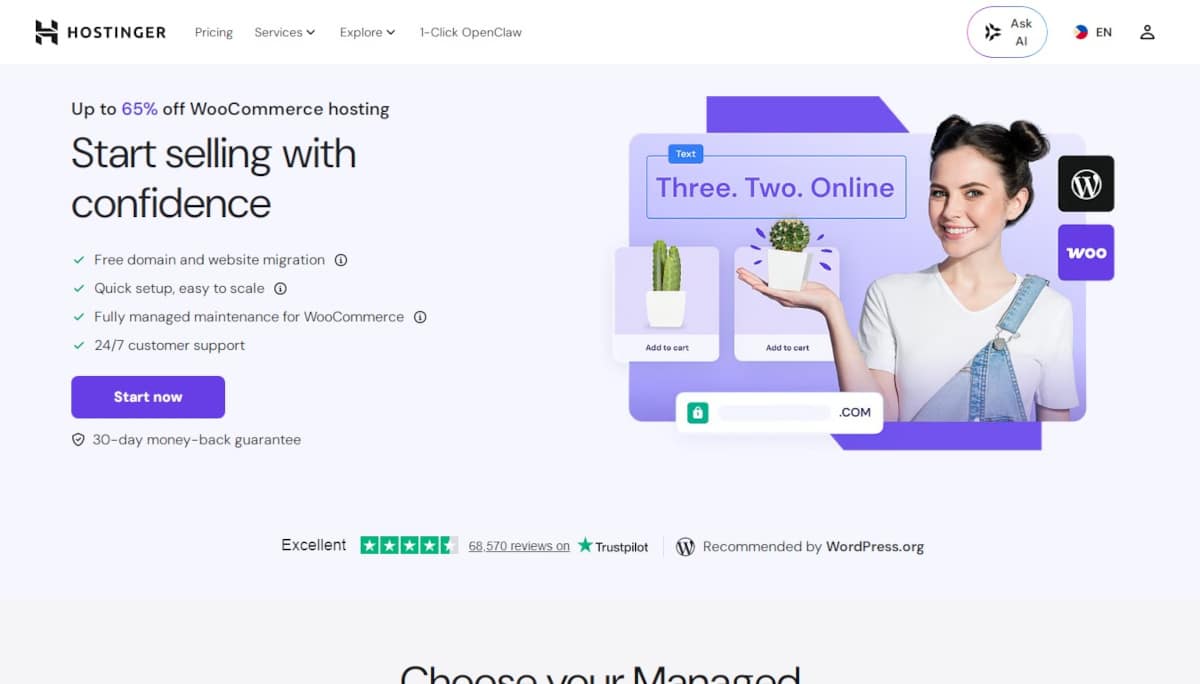 Web Hosting Statistics_Hostinger-WooCommerce