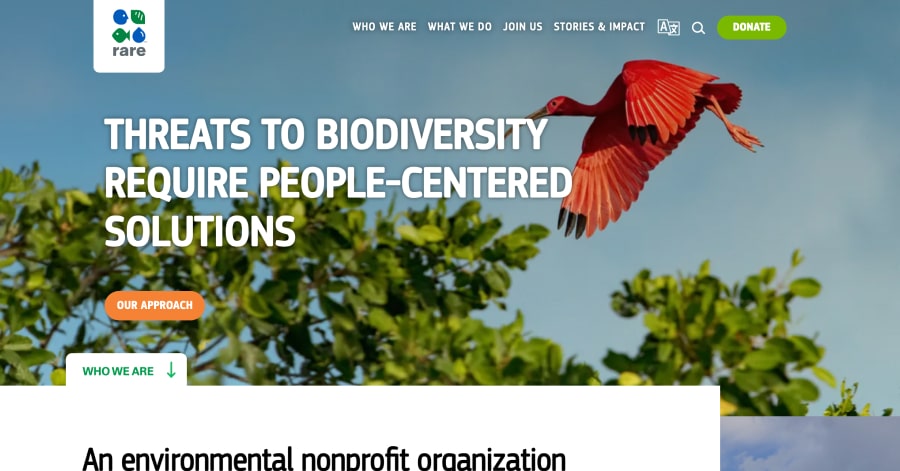 Rare - Nature Conservation Website Example