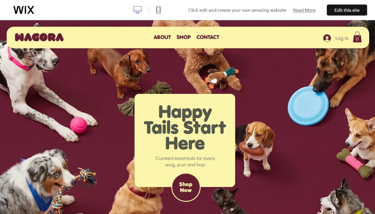 Best Ecommerce Templates_Wagora Best Ecommerce Templates_Wagora