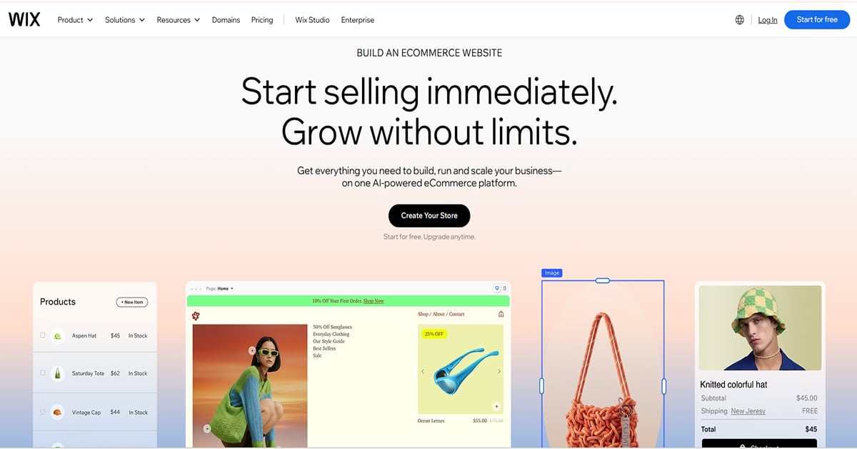 Wix Ecommerce (1)