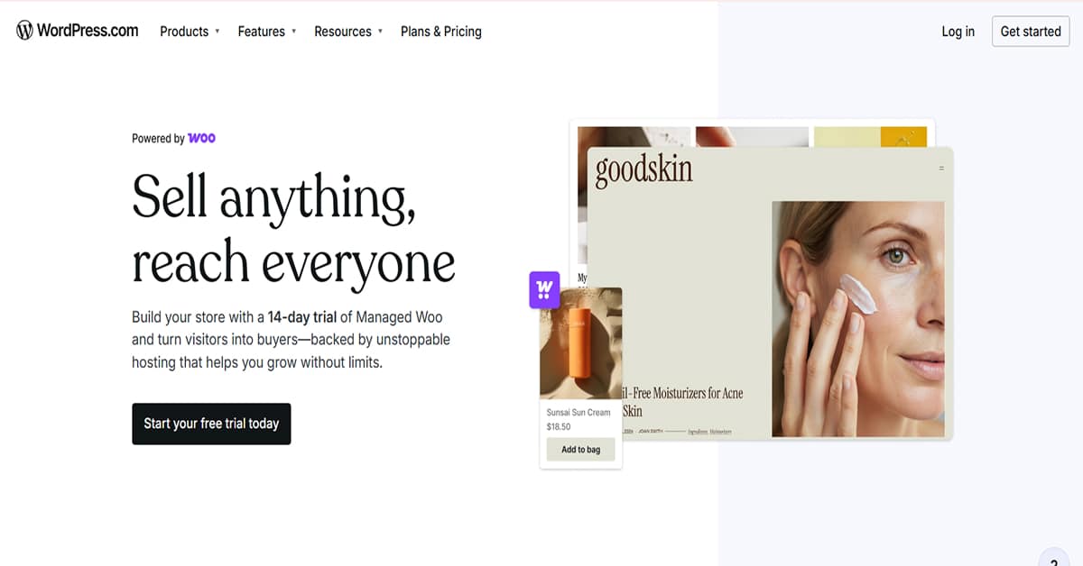 WordPress Ecommerce